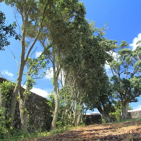 Santana Houses * Rabo de Peixe